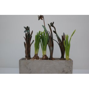 T� a T� p� l�g