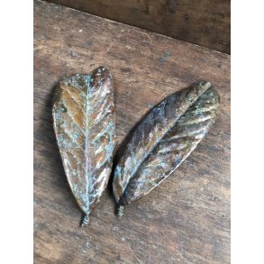 Laurbr blad 20 x 7 cm