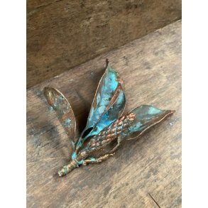 Magnolia fr�stand- kvist