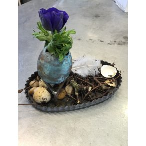 Gseg med Plantehul Patineret